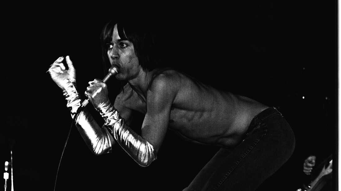 Still Dangerous: How Iggy & The Stooges Changed Music Forever